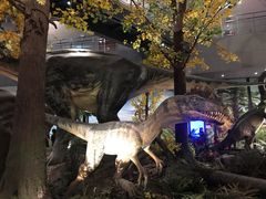 -湖南省地质博物馆