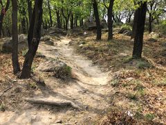 -北京鹫峰国家森林公园
