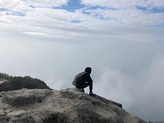 -梧桐山风景名胜区