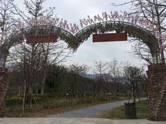 景点-田野绿世界