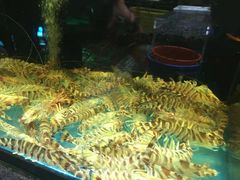 -金翠皇宫粤菜·点心·海鲜(科技园店)