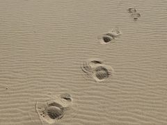 -东疆理想海岸沙滩景区
