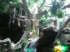 -多彩贵州城极地海洋世界