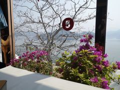 -望湖烤鱼