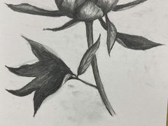 -黑骏画室·深圳美术中高考黄埔军校