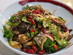 凉拌爽鱼皮-明本湛江鸡•海鲜小厨(陈家祠店)