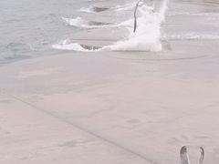 -星海广场