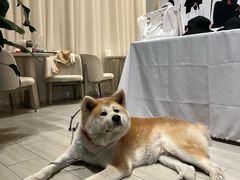 -YCHL Studios健身工作室(市二宫店)