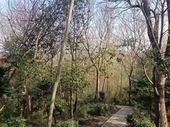 -上海佘山国家森林公园天马山园