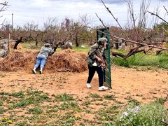 -亲兄弟真人CS团建拓展基地