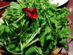 -野菌皇海景野生菌火锅(滨海大道店)