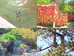 -香山公园