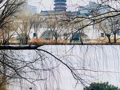 -长兴太湖图影湿地文化园