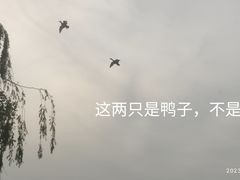 -中国农业博物馆