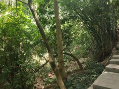 -火炉山森林公园