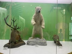 -国家自然博物馆