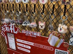 -和它·交个朋友·狗咖猫咖(爱琴海店)