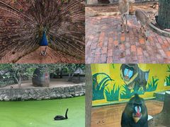 -荆州中山公园动物园