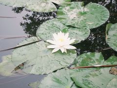 -金华体育中心游泳馆