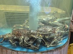 -顺峰(农展馆店)