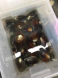 -邵老师打金·黄金加工(大望路总店)