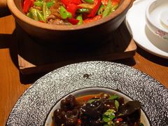 -渔见·精品川菜·老坛酸菜鱼(大朗店)