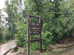 -中山市树木园