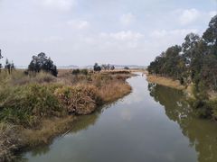 -漩门湾国家湿地公园