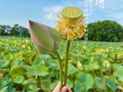 -梁鸿国家湿地公园