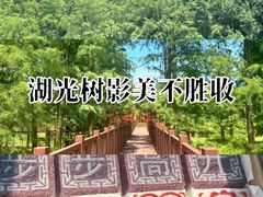 -四明山国家森林公园