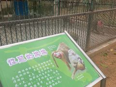 -广东茂名森林公园