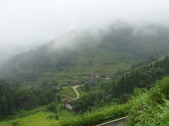 -紫鹊界梯田景区
