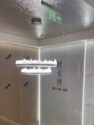 -杜卡诗salon
