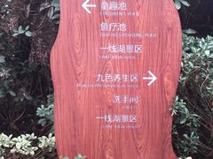 -天目湖涵田半山温泉