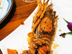-渔日本料理铁板烧(新天地假日广场店)