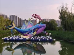 -洋湖国家湿地公园