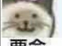 -富力丽思卡尔顿酒店·丽轩中餐厅