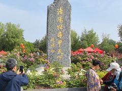 -洛阳市隋唐城遗址植物园
