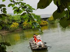 -天下先生态园农庄CS团建露营地(海鸥岛店)