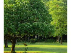 -中国科学院华南植物园