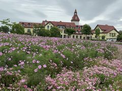 -歌斐颂巧克力小镇