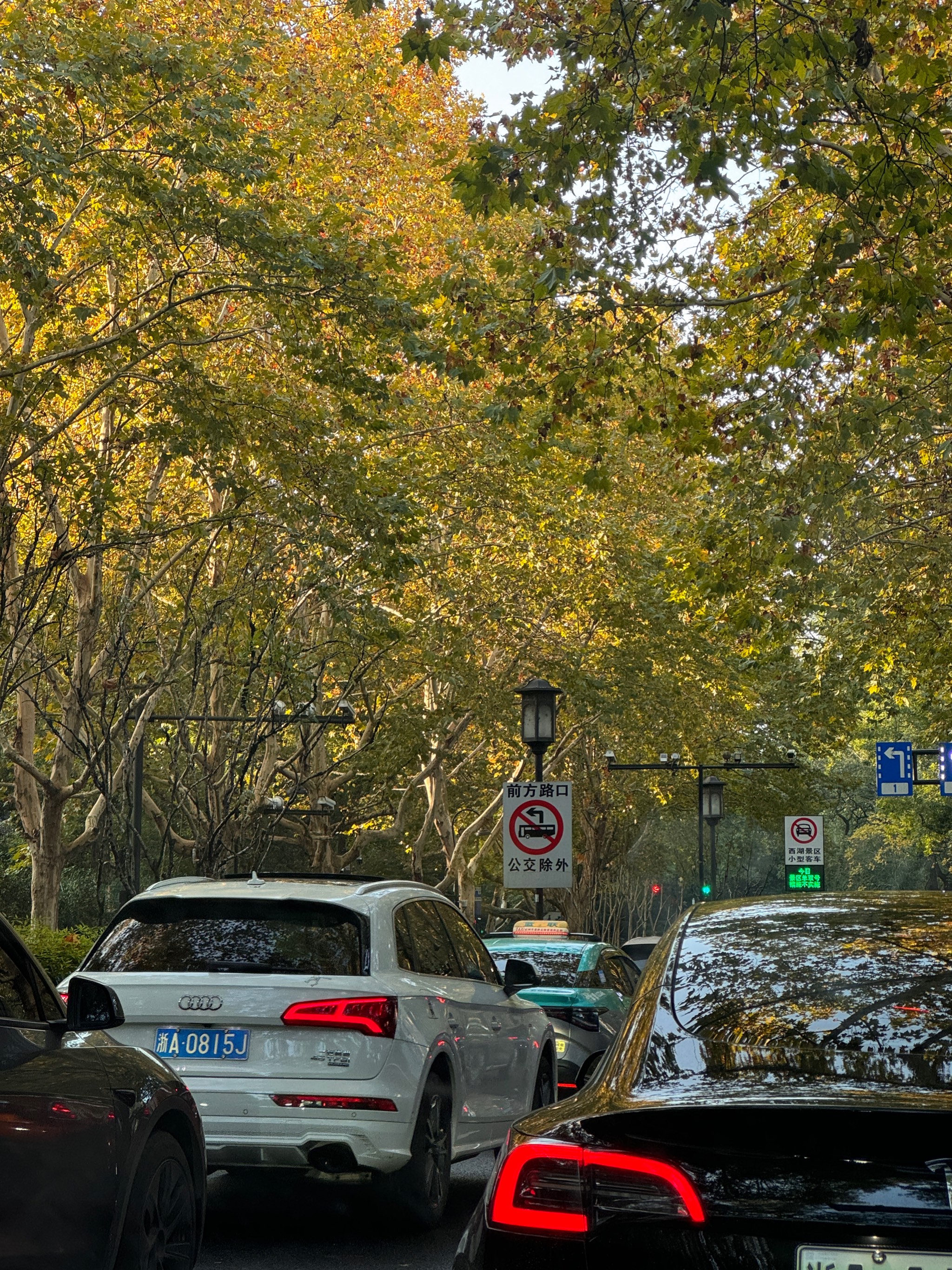 杭州西湖景区今日限号查询(杭州市西湖区景区今天限号吗)