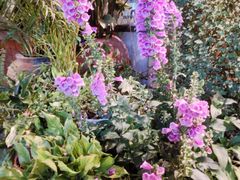 -春暖花开(西溪店)
