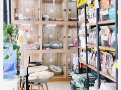 -八公叔叔宠物美容连锁(春申店)