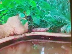 -郑州银基黄帝宫御温泉