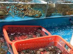 水产区-琼大师东方烤乳猪(亚特兰蒂斯店)