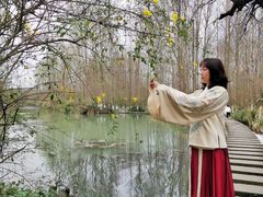 -桤木河湿地公园