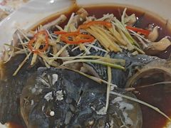 -煲来饱去冷水鱼