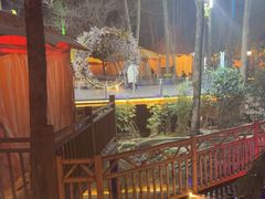 -二荆条·蜀鲜汇城市森林火锅