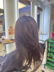 -镁连社·美联社